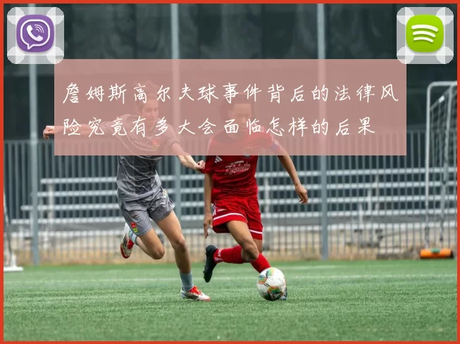 詹姆斯高尔夫球事件背后的法律风险究竟有多大会面临怎样的后果